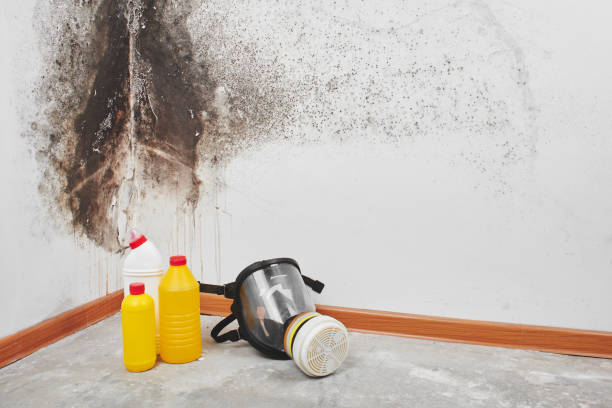 Best Kitchen Mold Remediation in Poteau, OK