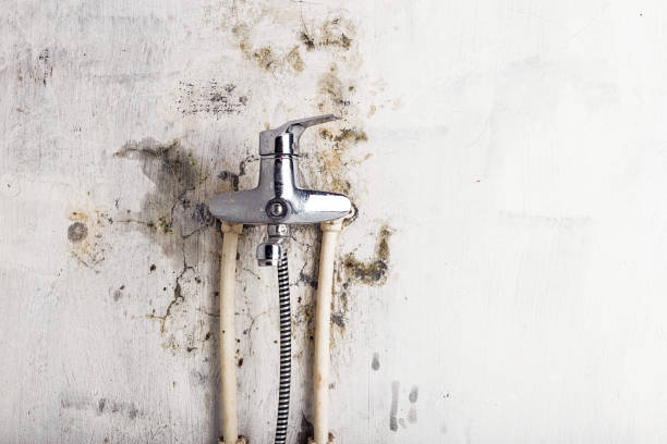 Best Residential Mold Remediation in Poteau, OK