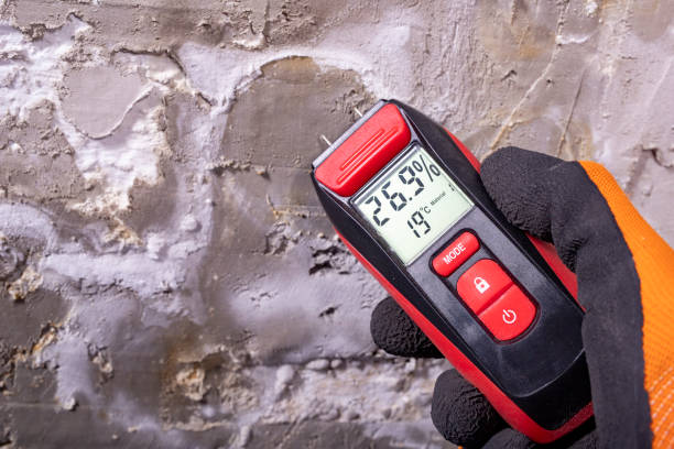 Best Health and Safety Mold Remediation in Poteau, OK